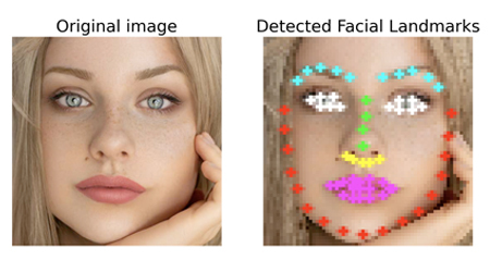 How Does Semantic Segmentation Enhance Face Recognition in AI?